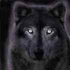 Uživatelský avatar